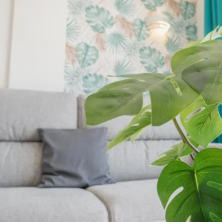 Apartment Charming Seaside And Terasse In Playa Paraiso Costa Adeje (Tenerife)